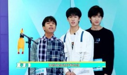 韩网男团爆料视频大全集,揭秘视频大全集精彩瞬间